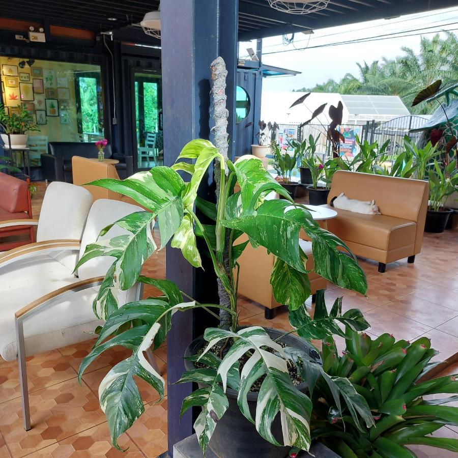 Kipbox Hotel Транг Екстериор снимка